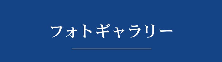 ギャラリー